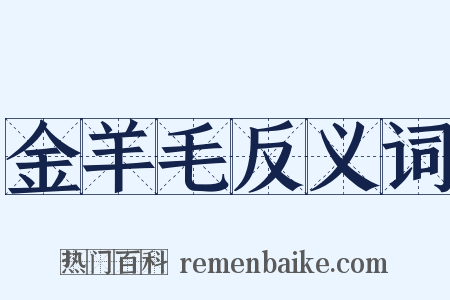 金羊毛反义词是什么意思的图片
